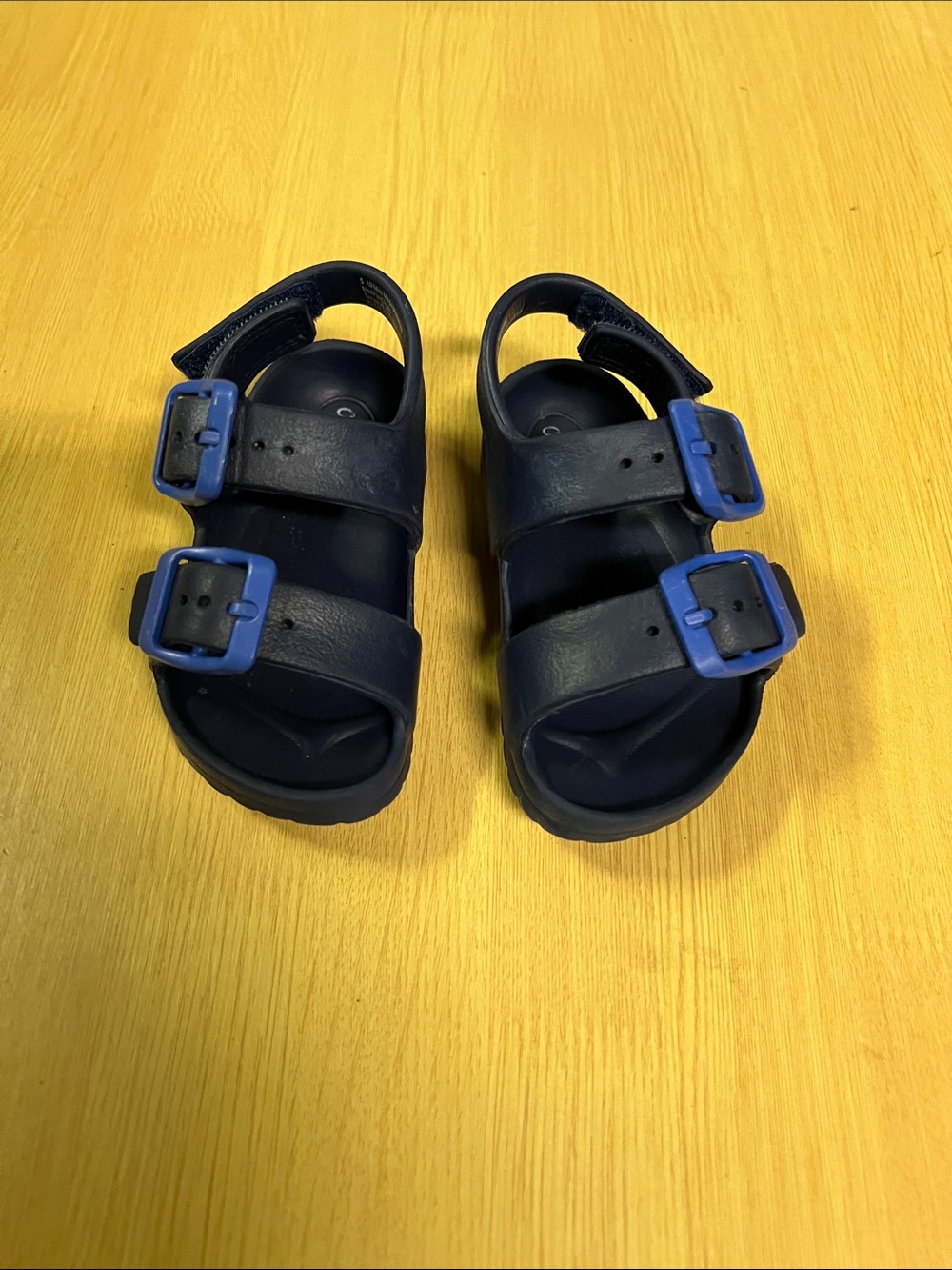 Cat & Jack Navy Sandals with Blue Buckles